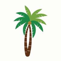 ilustración de palmera vector