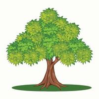 árbol aislado en blanco vector