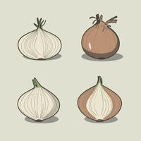 set of onions vector