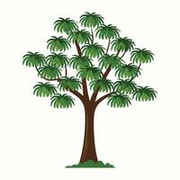 tree isolated on white vector