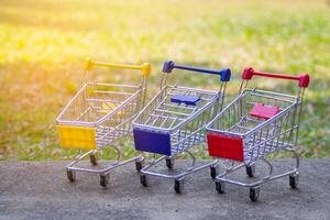 The empty small shopping cart on the soil in the garden. Space for text. Concept of e-commerce and shopping photo