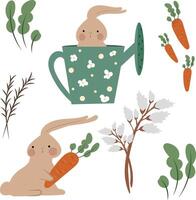 Spring set with bunny, carrots and leaves vector