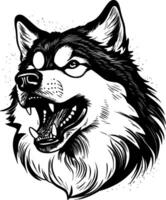 Alaska malamute, negro y blanco ilustración vector