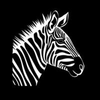 Zebra, Black and White illustration vector