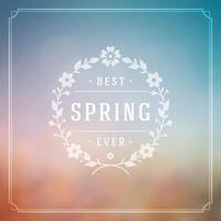 Spring Typographic Poster or Greeting Card Design. vector