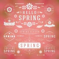 Spring typography labels and badges design set vintage style templates. vector