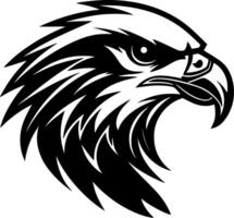 Falcon - Black and White Isolated Icon - illustration vector