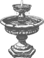 agua fuente o agua bien imagen utilizando antiguo grabado estilo vector