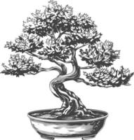 bonsai tree images using Old engraving style body black color only vector