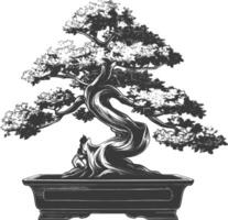 bonsai tree images using Old engraving style body black color only vector