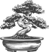 bonsai tree images using Old engraving style body black color only vector