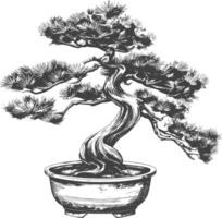 bonsai tree images using Old engraving style body black color only vector