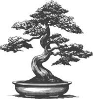 bonsai tree images using Old engraving style body black color only vector