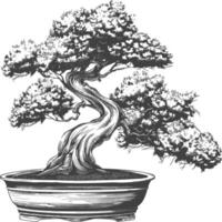 bonsai tree images using Old engraving style body black color only vector