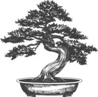 bonsai tree images using Old engraving style body black color only vector