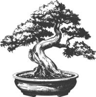 bonsai tree images using Old engraving style body black color only vector