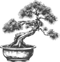 bonsai tree images using Old engraving style body black color only vector