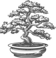 bonsai tree images using Old engraving style body black color only vector