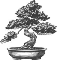 bonsai tree images using Old engraving style body black color only vector