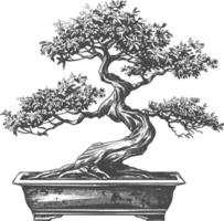 bonsai tree images using Old engraving style body black color only vector