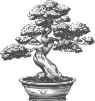 bonsai tree images using Old engraving style body black color only vector