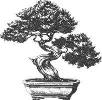 bonsai tree images using Old engraving style body black color only vector