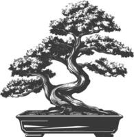 bonsai tree images using Old engraving style body black color only vector