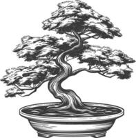 bonsai tree images using Old engraving style body black color only vector