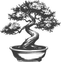 bonsai tree images using Old engraving style body black color only vector