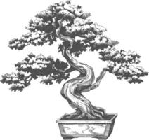 bonsai tree images using Old engraving style body black color only vector