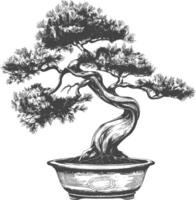 bonsai tree images using Old engraving style body black color only vector