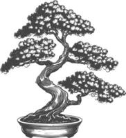 bonsai tree images using Old engraving style body black color only vector