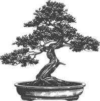 bonsai tree images using Old engraving style body black color only vector