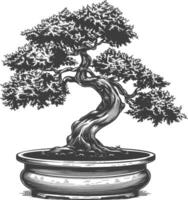 bonsai tree images using Old engraving style body black color only vector