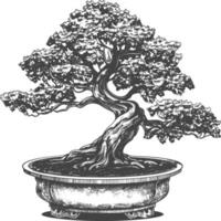 bonsai tree images using Old engraving style body black color only vector