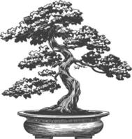 bonsai tree images using Old engraving style body black color only vector