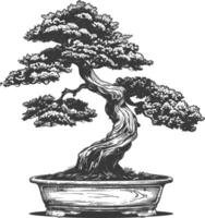 bonsai tree images using Old engraving style body black color only vector