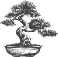 bonsai tree images using Old engraving style body black color only vector