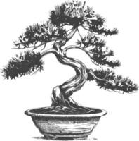 bonsai tree images using Old engraving style body black color only vector