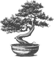 bonsai tree images using Old engraving style body black color only vector