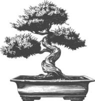 bonsai tree images using Old engraving style body black color only vector