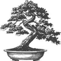 bonsai tree images using Old engraving style body black color only vector