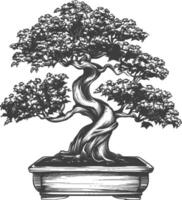 bonsai tree images using Old engraving style body black color only vector