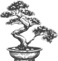 bonsai tree images using Old engraving style body black color only vector