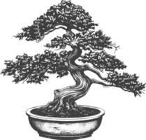 bonsai tree images using Old engraving style body black color only vector