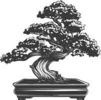 bonsai tree images using Old engraving style body black color only vector