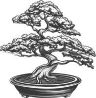 bonsai tree images using Old engraving style body black color only vector