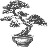 bonsai tree images using Old engraving style body black color only vector