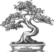 bonsai tree images using Old engraving style body black color only vector