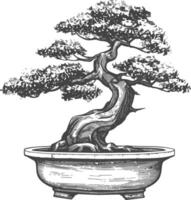 bonsai tree images using Old engraving style body black color only vector